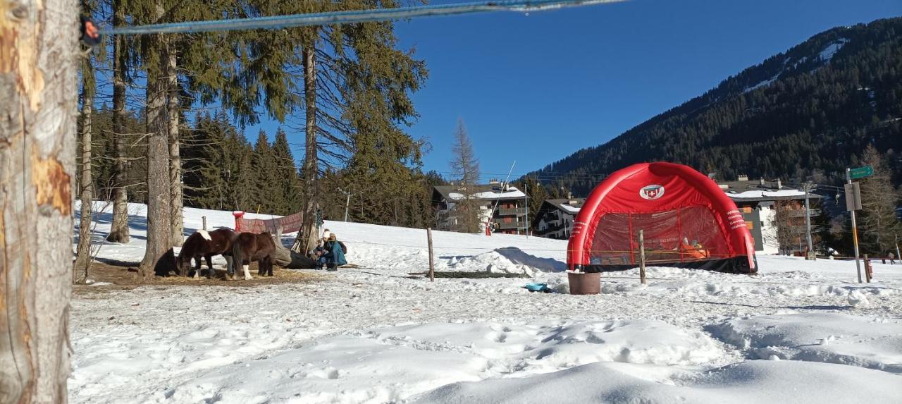 Studio Appartement Avec Piscine, Ski Porte Du Soleil Morgins, Ps3 Games, Wash & Bring Sheets Exterior photo