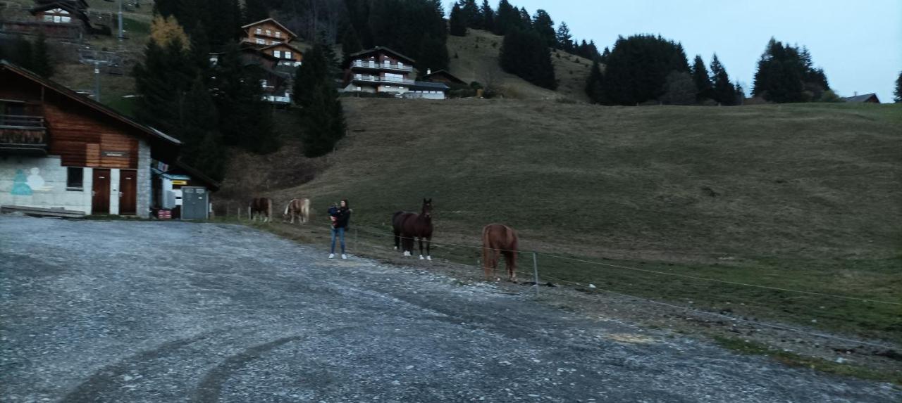 Studio Appartement Avec Piscine, Ski Porte Du Soleil Morgins, Ps3 Games, Wash & Bring Sheets Exterior photo