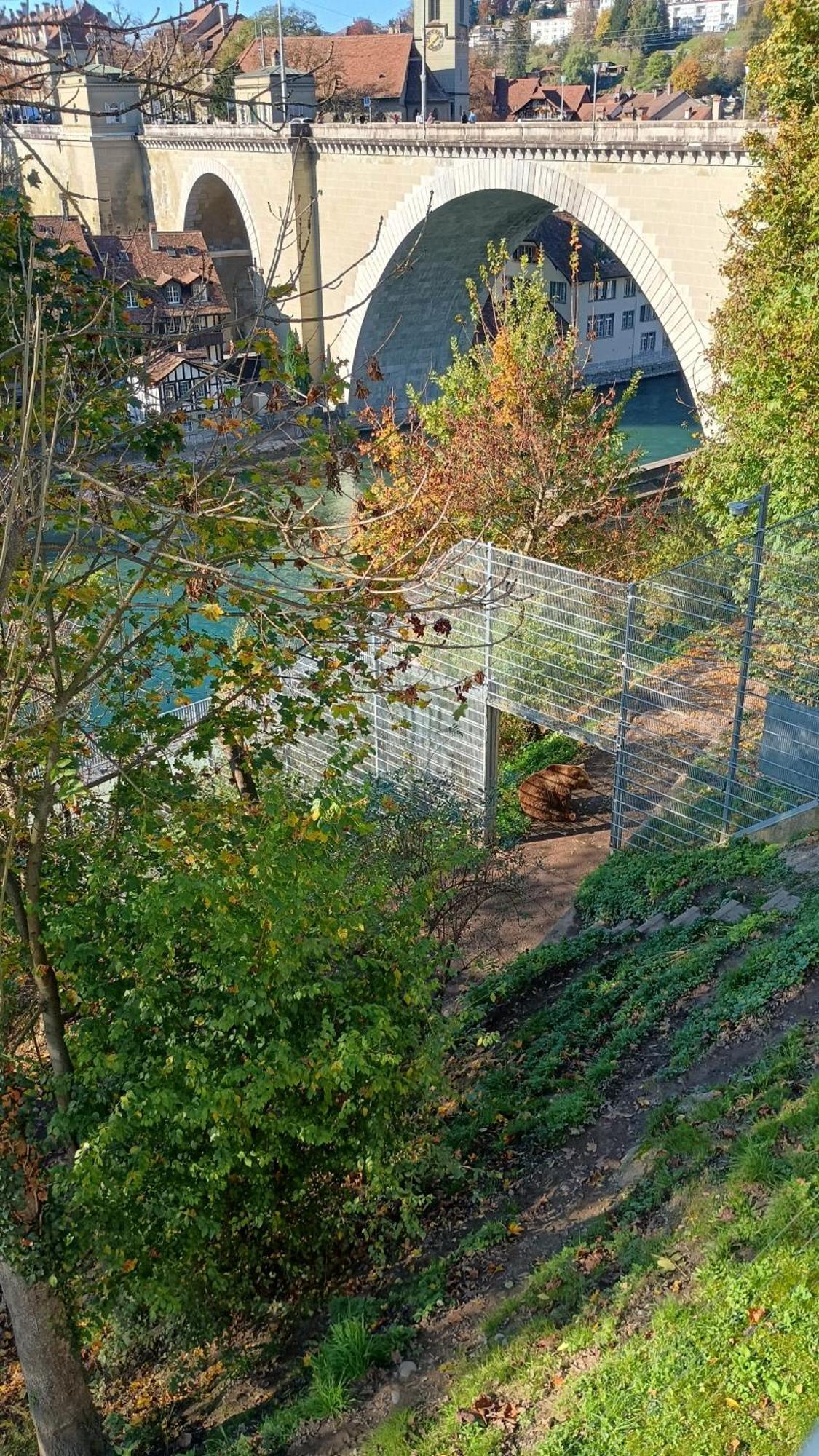 Studio Appartement Avec Piscine, Ski Porte Du Soleil Morgins, Ps3 Games, Wash & Bring Sheets Exterior photo